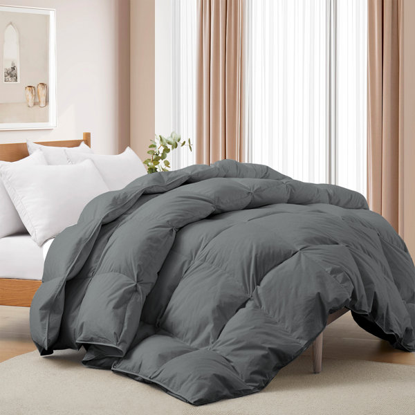 Alwyn Home 600 Fill Power All Seasons Down Comforter & Reviews Wayfair